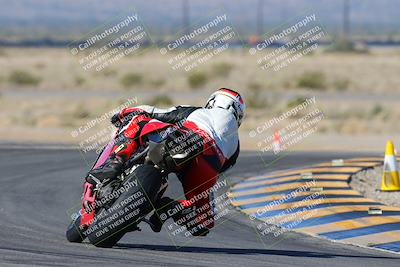 media/Feb-03-2024-SoCal Trackdays (Sat) [[767c60a41c]]/2-Turn 11 (10am)/